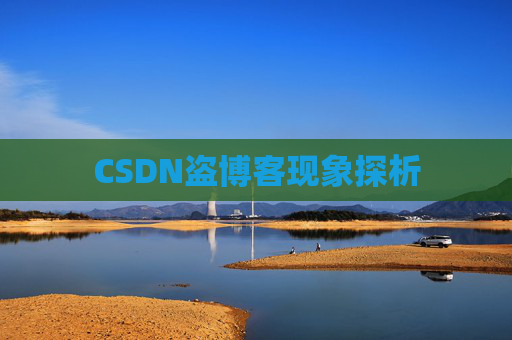 CSDN盗博客现象探析 CSDN盗博客现象探析